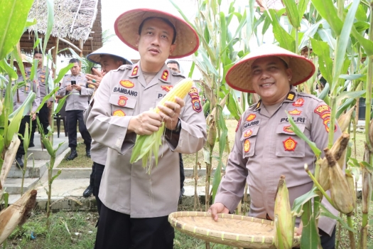 250411053922-dukun.jpg