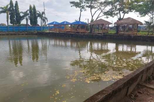 250716220249-kolam.jpg