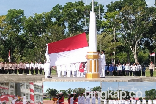 250818114359-paski.jpg