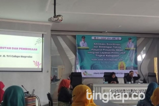 251121204747-dinke.jpg