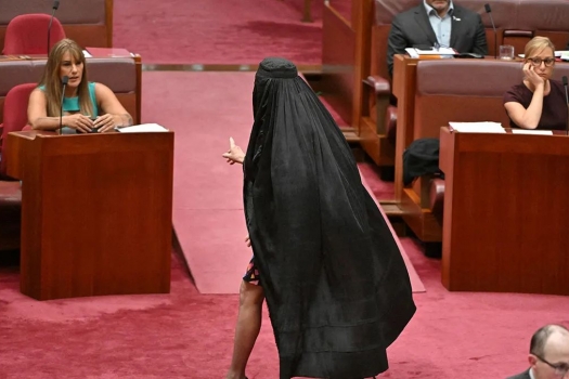 251125122631-senat.jpg