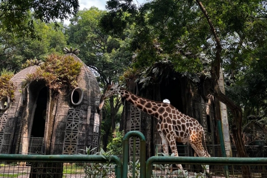 260615131408-kebun.jpg