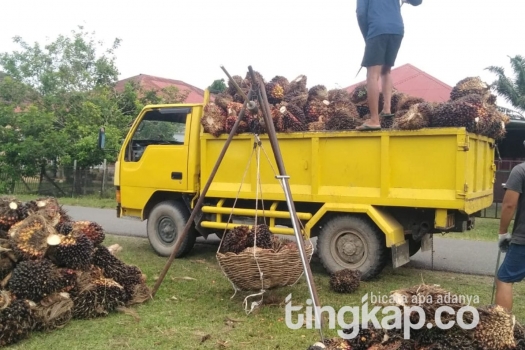 260821093338-harga.jpg
