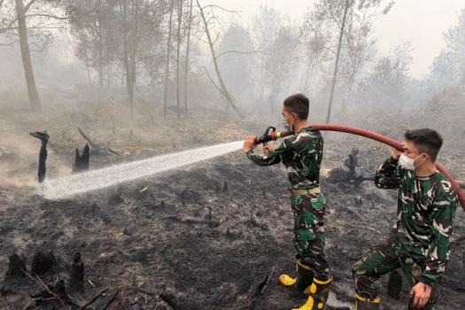 261020111435-tni-t.jpg