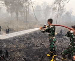 261020111435-tni-t.jpg